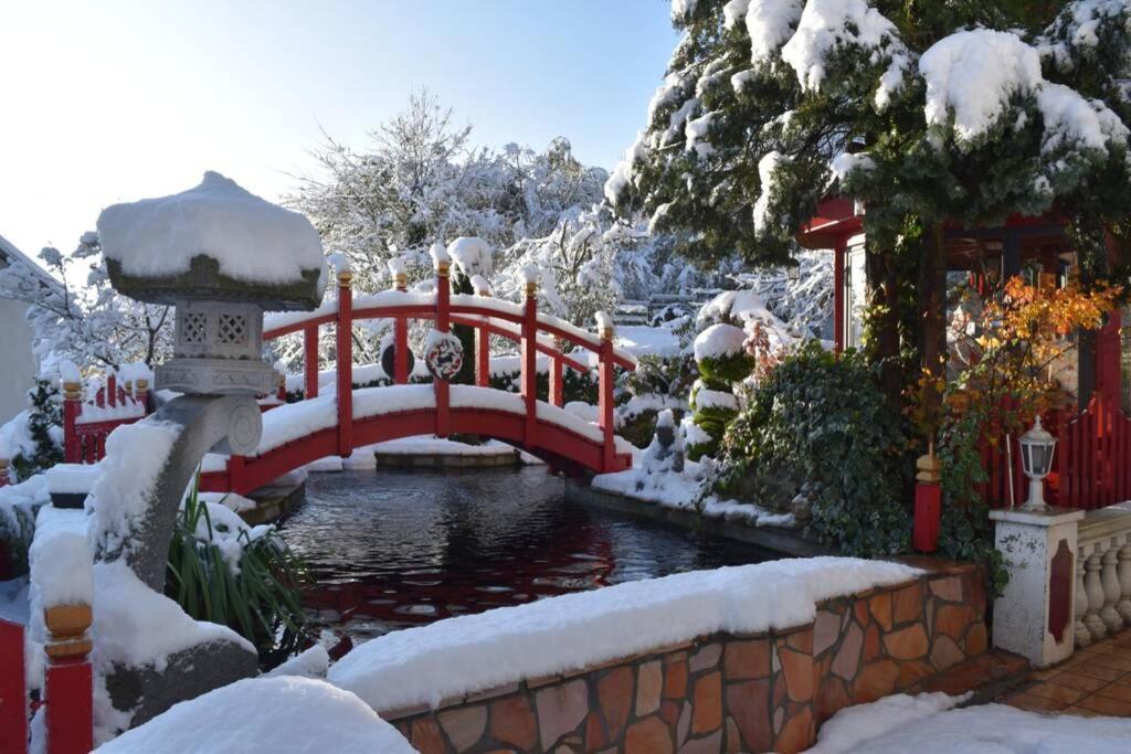 Gite Au Printemps Japonais, Petit Train De La Mure, Parc Des Ecrins Pierre-Chatel エクステリア 写真