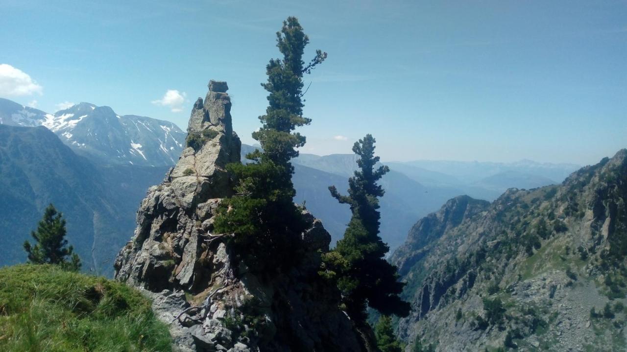 Gite Au Printemps Japonais, Petit Train De La Mure, Parc Des Ecrins Pierre-Chatel エクステリア 写真