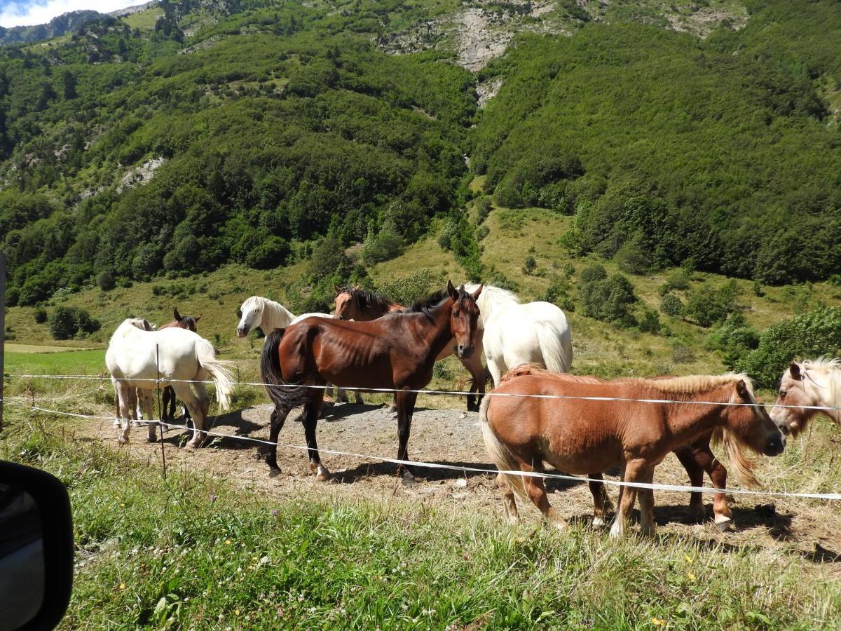 Gite Au Printemps Japonais, Petit Train De La Mure, Parc Des Ecrins Pierre-Chatel エクステリア 写真